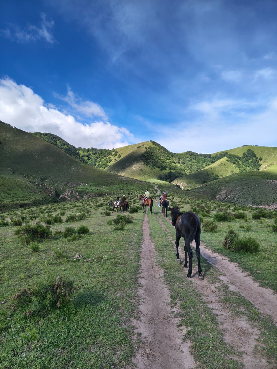 Cabalgata entre los cerros verdes de Tafí del Valle en temporada de lluvias