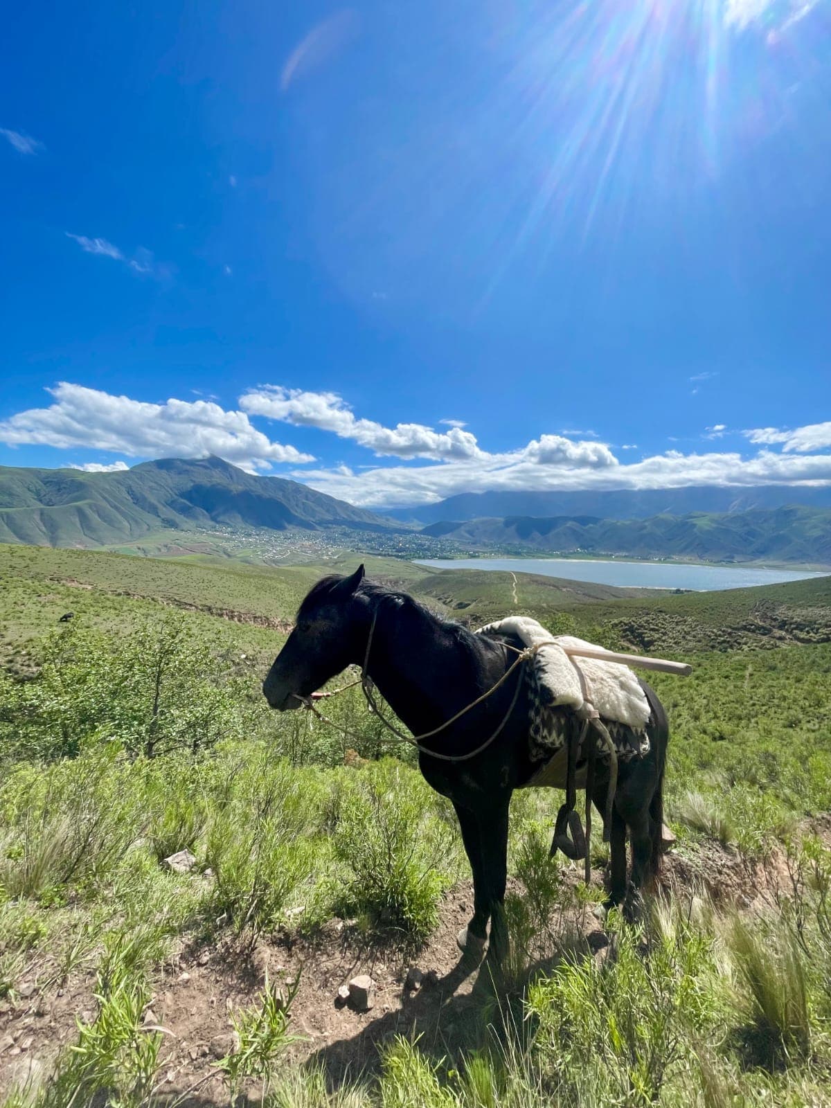 Caballo en lo alto de un mirador con vista panorámica al Dique La Angostura, Tafí del Valle en verde