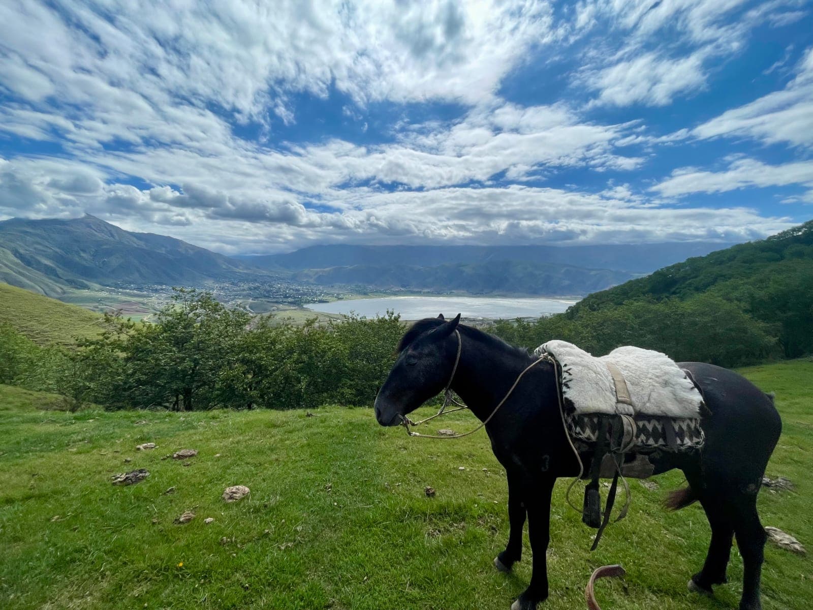 Caballo criollo ensillado frente al Dique La Angostura entre cerros verdes y nubes, El Mollar