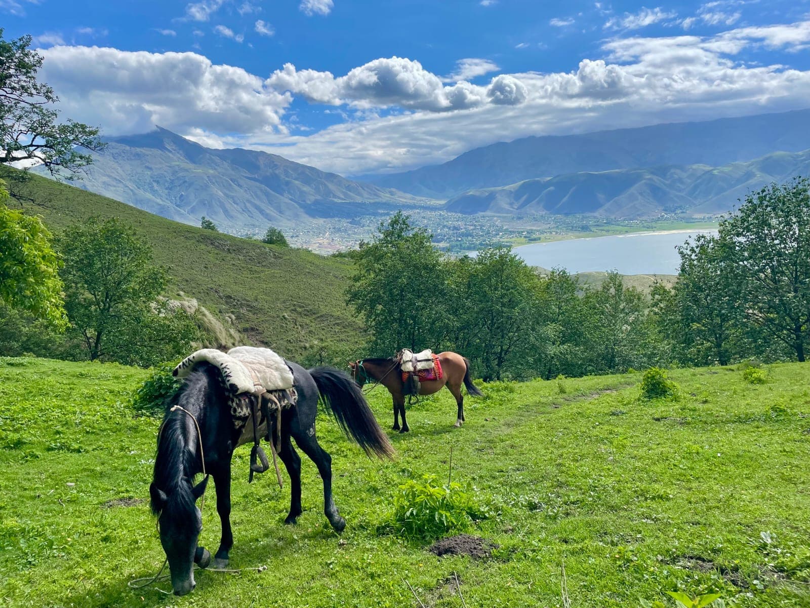 Caballos pastando en las laderas verdes con el Dique La Angostura de fondo, El Mollar