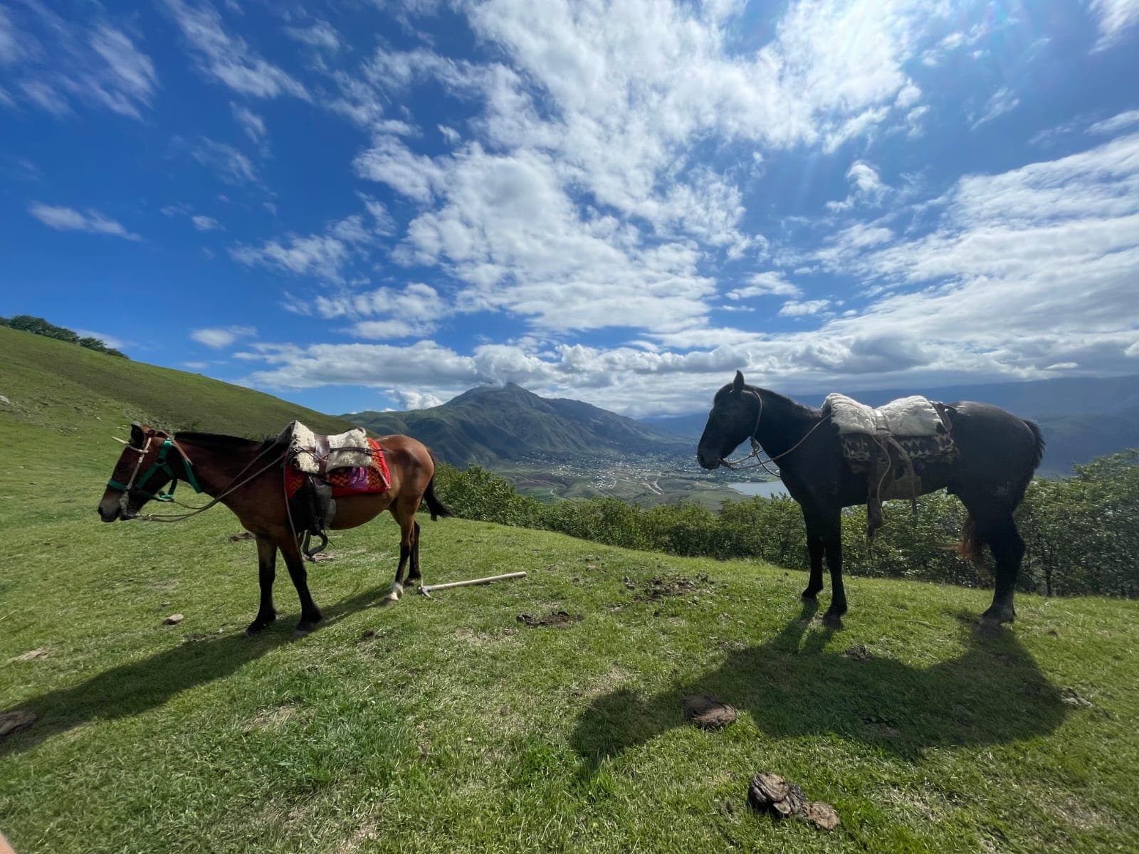Dos caballos en un mirador de El Filo con vista al cerro y al valle de Tafí del Valle, cerros verdes